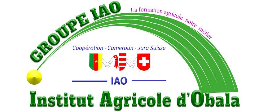 Logo Partenaire